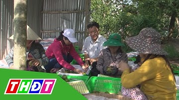 Nông dân Đồng Tháp với kinh tế nông nghiệp | Tái cơ cấu nông nghiệp | THDT