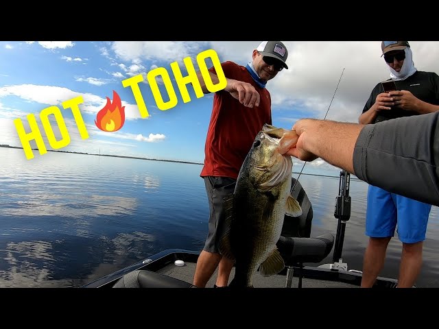 Lake Toho Bass Fishing  Big Texas Rig ALL DAY 