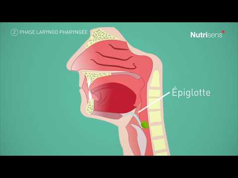Vidéo: Quand la déglutition recouvre l'épiglotte ?