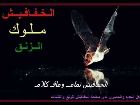 ود راوه ملك البرمجة أسامة فلاتي القائل سعادتنا بيك زنق سوداني