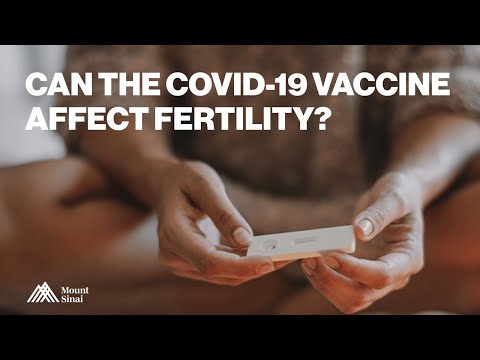 Can the COVID-19 Vaccines Affect My Fertility?