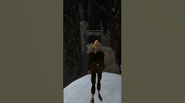 Killing the adoring fan in Morrowind every day until Skywind and Skyblivion are released Day - 727