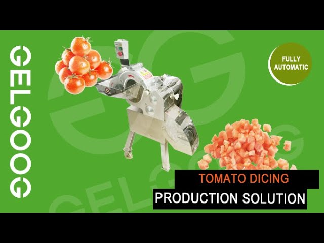 Best Tomato Dicer Machine Commercial 