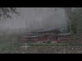 Rain Sounds On Window with Thunder SoundsㅣHeavy Rain in Forest for Sleep and Relaxation, Meditation