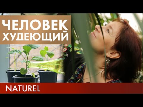 Натуральная диета | Человек худеющий #13 (2019)