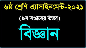 Class 6 | 9th Week Assignment 2021 | Science Answer | High School Assignment Answer