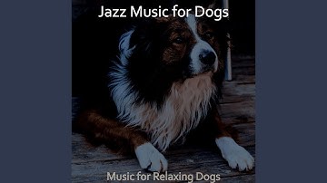 Scintillating Backdrops for Dogs