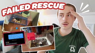 I TRIED TO RESCUE 8 GUINEA PIGS, BUT I WAS EXPOSED 😱