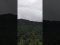 கொடைக்கானலில் உள்ள மதிகெட்டான் சோலை #shorts #forest #tamilnadu #nanda RNS vlog