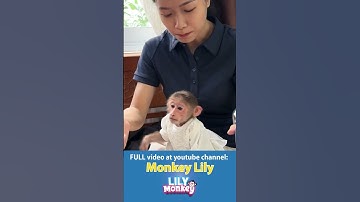 Monkey & Humans Sharing Gratitude #shorts #short #monkey