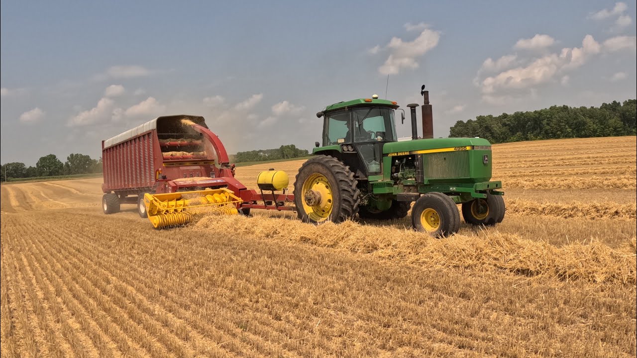 Chopping Straw YouTube