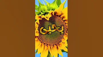 اسم يحيى 