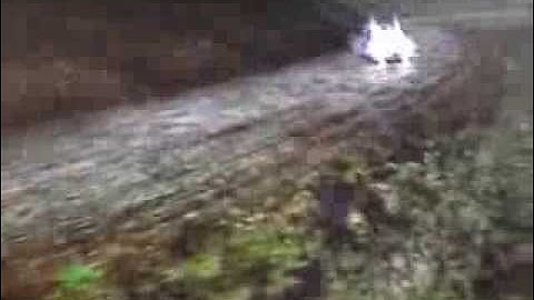 colin mcrae rally 04 crash compilation 1