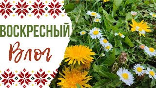 Как живут переселенцы. Не выходное воскресенье