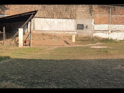 Khasi Hills Archery Sports Institute: 1st Round 13/12/2024 Khasi Hills Archery Sports Institute: 1st Round 13/12/2024