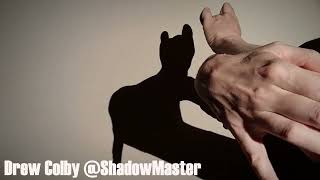 Cat scratching Hand Shadow Tutorial