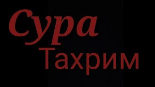 66 Сура Ат Тахрим Чтец Амирхамза очень красивый голос
