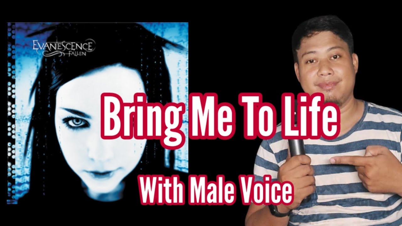 Bring Me to Life - Evanescence -Sing With Me Bring Me to Life - Evanescence -Sing With Me