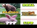 Super bear adventure in real life 