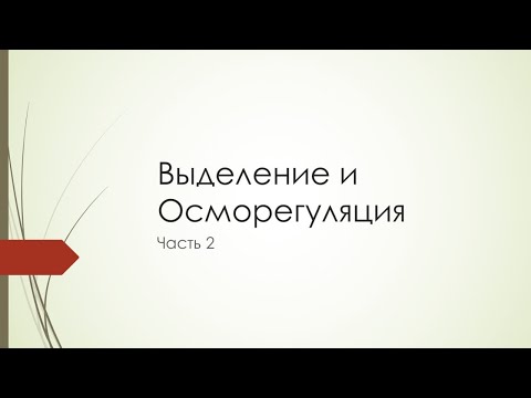 Выделение и Осморегуляция (часть 2)