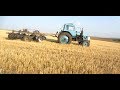 МТЗ 80 с БДТ. Дисковка стерни после пшеницы на Новом участке.