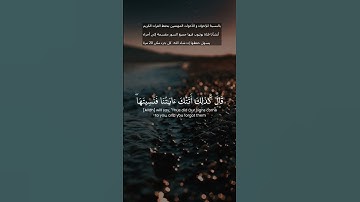 اكتشف نعمة السكينة والهدوء من خلال تلاوة القرآن الكريم #القرآن_الكريم #راحة_نفسية #الرحمن #المصحف