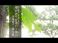 愛のめぐり逢い・仙台/美波京子 森 久雄【ミュージックビデオ】