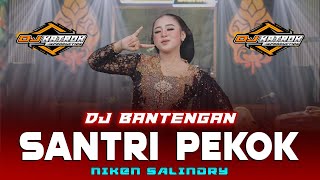 DJ BANTENGAN NIKEN SALINDRY SANTRI PEKOK FULLBASS !!! CLARITY !!!