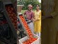 AI விவசாயியின் அசத்தல் அறுவடை! 🌾🔥#AIVideo #VillageLife #Farming #AICreation #Shorts #AIArt