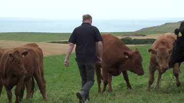 Sea2Soil Bob Priest, AHDB Monitor Farm, Cornwall