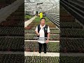 ГЛАВНЫЕ ОШИБКИ при высадке рассады!