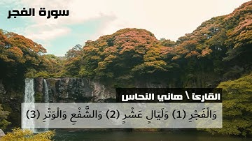 سورة الفجر القارئ الشيخ هاني النحاس