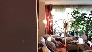 Skywin Wireless Outlet and Battery Free Kinetic Light Switch