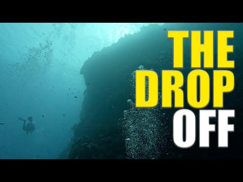 Awesome Shore Dives In BALI! The Drop Off & Coral Gardens 🇮🇩