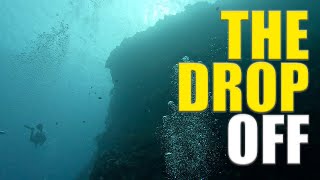 Awesome Shore Dives In BALI! The Drop Off & Coral Gardens 🇮🇩