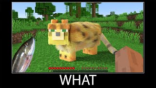 Celebrity Minecraft wait what meme part 83 realistic minecraft Ocelot Profile