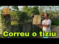 O TIZIU SOLTO BOTOU O NOSSO PRA CORRER - FICOU FEIO