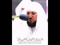 قالوا يموسى إنا لن ندخلها الشيخ ماهر المعيقلي