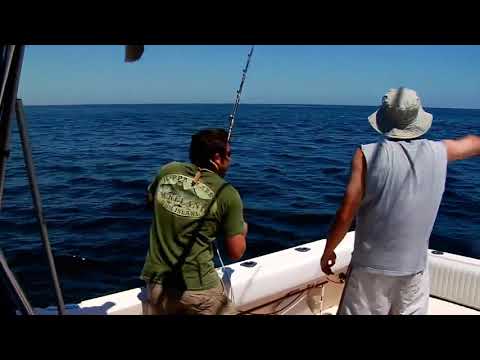 Incrível habilidade de pesca de atum rabilho gigante - Vídeo de pesca marítima mais satisfatório