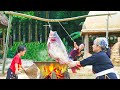 Dwarf family catches giant fish in the wild  cooking fish in giant pan and renovate the garden