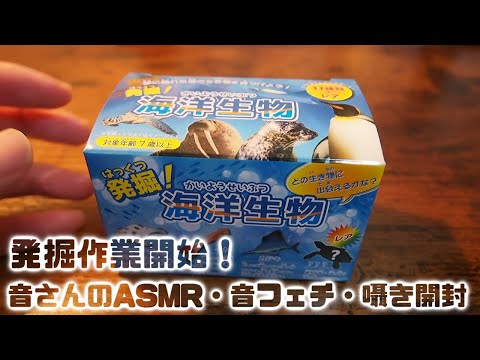 ASMR・音フェチ・囁き開封　海洋生物を発掘開始！！