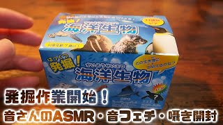 ASMR・音フェチ・囁き開封　海洋生物を発掘開始！！