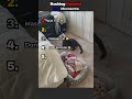Ranking Funniest Cat Moments