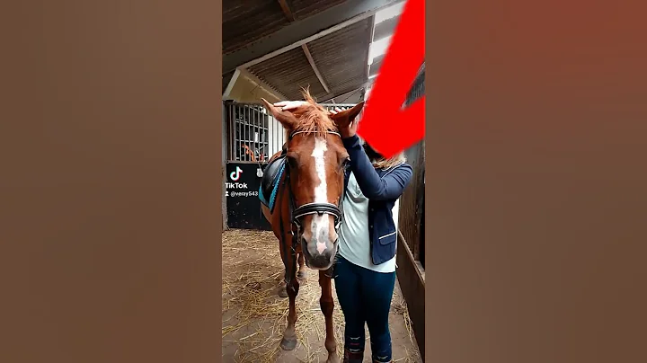 Gwen van zorgboerderij donia state wester