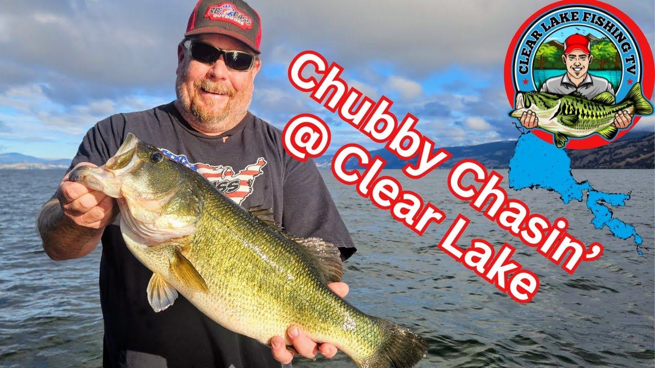 Лучший бас 2025 года! (пока что?)