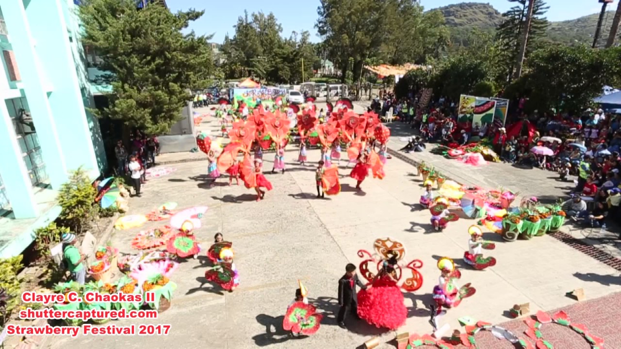 La Trinidad Central Elementary School - Strawberry Festival 2017