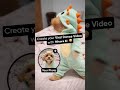 Create Hilarious Dancing Pet Videos from Your Favorite Photos Using AI