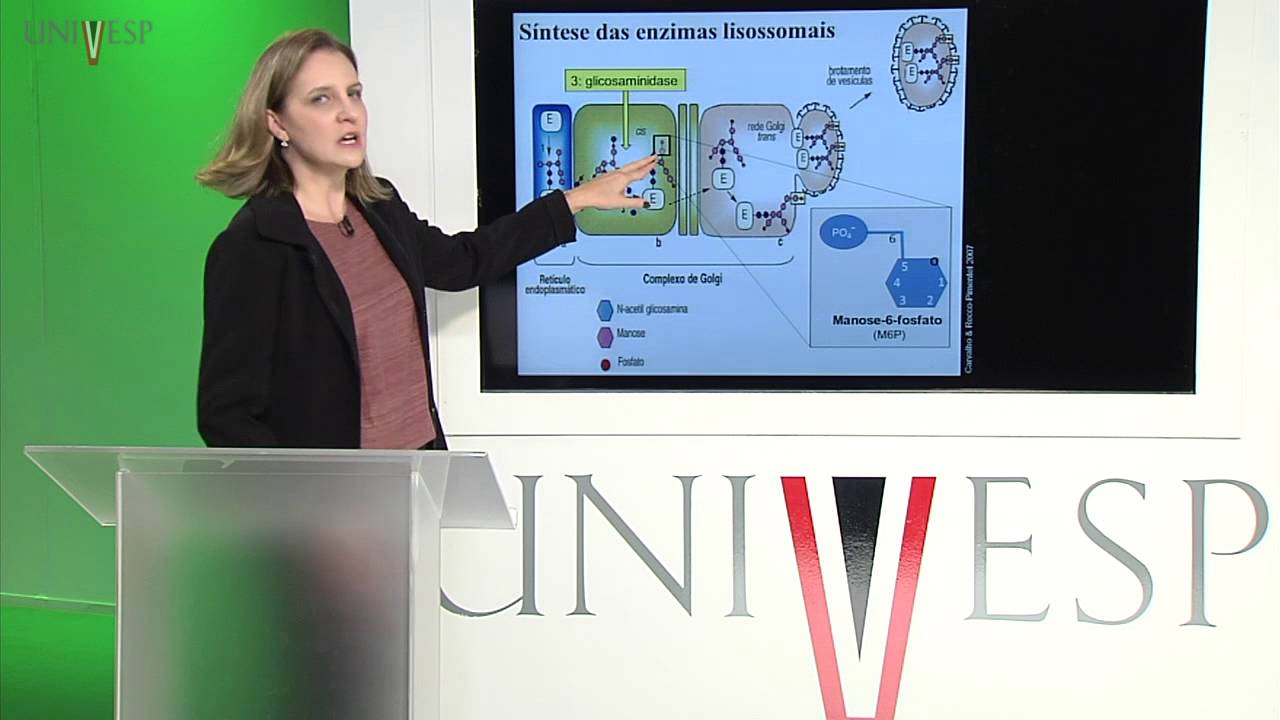 Células e Tecidos - aula 12 - Sistema endossômico e lisossômico