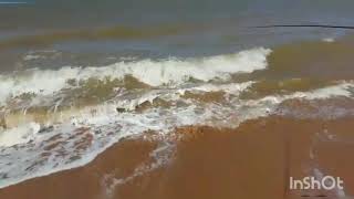 Pesca De Praia E O Dia Do Peixe