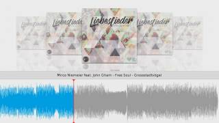 Mirco Niemeier feat. John Gham - Free Soul Resimi